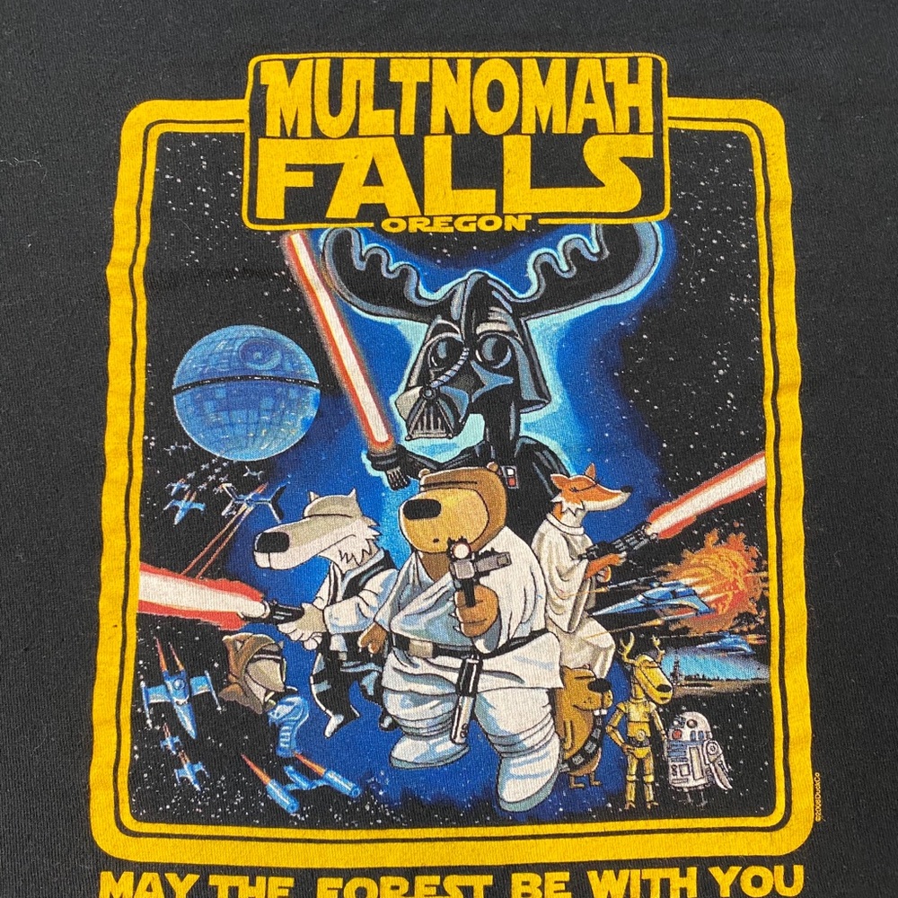 Multnomah falls orgeon mens L t-shirt - Picture 2 of 3